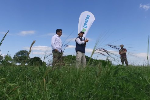 Jornada GENTOS en La Nueva Trinidad, Gdor.Mansilla - Poniendo el foco en las pasturas para una ganaderia más rentable