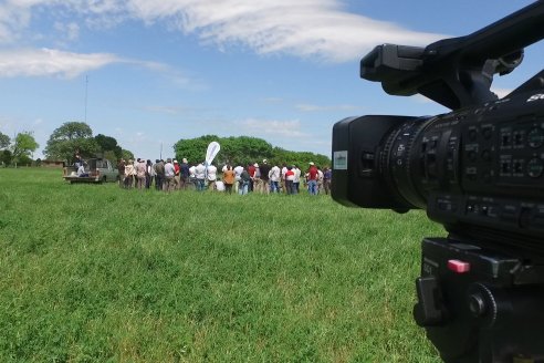 Jornada GENTOS en La Nueva Trinidad, Gdor.Mansilla - Poniendo el foco en las pasturas para una ganaderia más rentable
