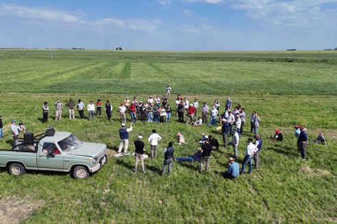 Jornada GENTOS en La Nueva Trinidad, Gdor.Mansilla - Poniendo el foco en las pasturas para una ganaderia más rentable