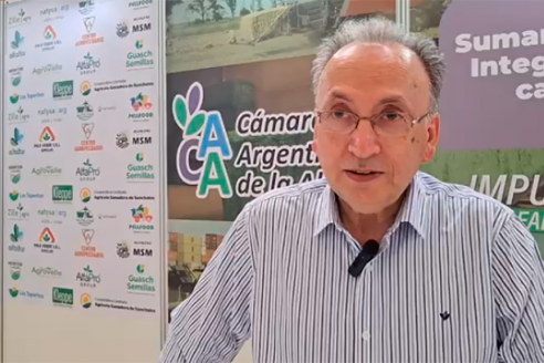 Para Brigante, la alfalfa es un gran negocio, da previsibilidad, exportación y aporte a los sistemas mixtos