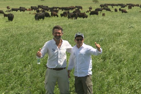 Visita al campo La Nueva Trinidad, en Mansilla, donde funciona una fábrica de pasto de precisión