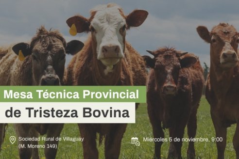 Dirigentes promueven un plan de lucha contra la Tristeza Bovina