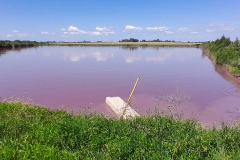 Arroyo Espinillo se tiñó de colorado de nuevo e investigan las causas