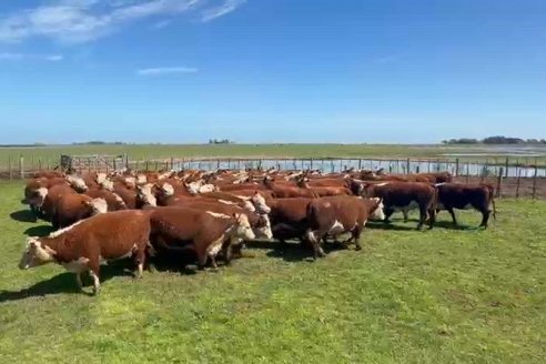 Hay créditos a valor producto con una tasa fija del 4% y por hasta 800 millones de pesos para Entre Ríos