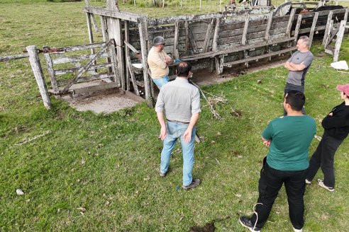 Campo Che Reta - Departamento Villaguay - Combate de garrapata en ganado bovino