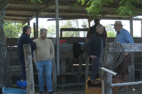 Campo La Amalia - Departamento Villaguay - Combate de garrapata en ganado bovino