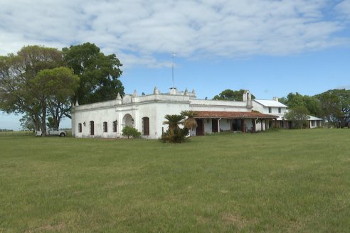 Campo La Amalia - Departamento Villaguay - Combate de garrapata en ganado bovino