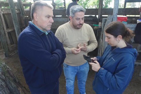 Campo La Amalia - Departamento Villaguay - Combate de garrapata en ganado bovino