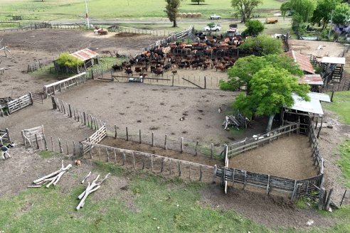 Campo La Amalia - Departamento Villaguay - Combate de garrapata en ganado bovino