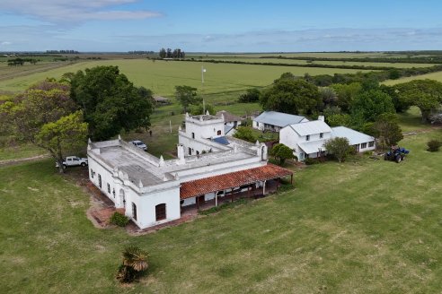 Campo La Amalia - Departamento Villaguay - Combate de garrapata en ganado bovino