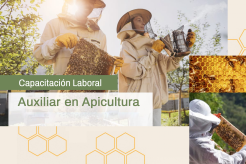 Activan capacitaciones laborales para ser auxiliar en apicultura