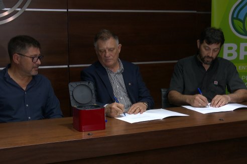 BolsaCER: Presentación del Laboratorio para la detección de enfermedades transmitidas por la Dalbulus Maidis