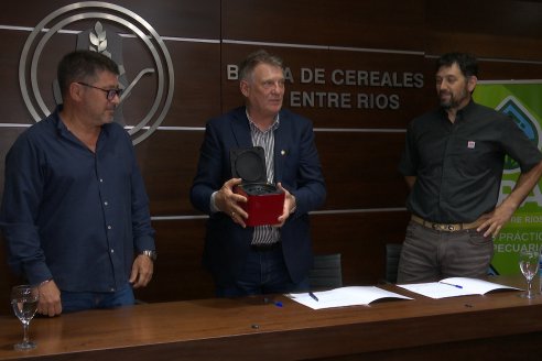 BolsaCER: Presentación del Laboratorio para la detección de enfermedades transmitidas por la Dalbulus Maidis