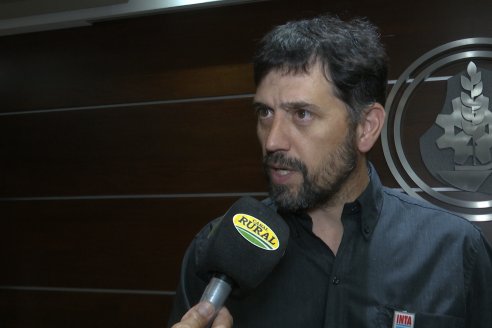 BolsaCER: Presentación del Laboratorio para la detección de enfermedades transmitidas por la Dalbulus Maidis