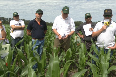 Reunión Regional Litoral de Distribuidores de SUPRA Semillas - Crespo, Entre Ríos