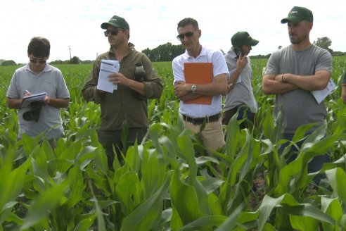 Reunión Regional Litoral de Distribuidores de SUPRA Semillas - Crespo, Entre Ríos