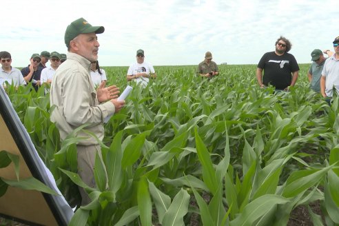 Reunión Regional Litoral de Distribuidores de SUPRA Semillas - Crespo, Entre Ríos