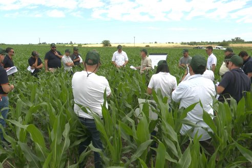 Reunión Regional Litoral de Distribuidores de SUPRA Semillas - Crespo, Entre Ríos