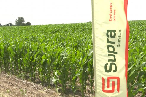 Reunión Regional Litoral de Distribuidores de SUPRA Semillas - Crespo, Entre Ríos