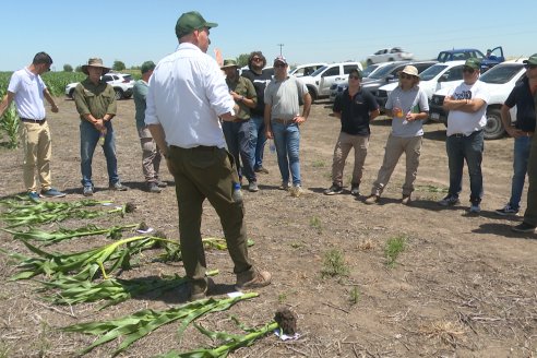 Reunión Regional Litoral de Distribuidores de SUPRA Semillas - Crespo, Entre Ríos