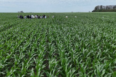 Reunión Regional Litoral de Distribuidores de SUPRA Semillas - Crespo, Entre Ríos