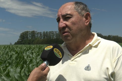 Reunión Regional Litoral de Distribuidores de SUPRA Semillas - Crespo, Entre Ríos