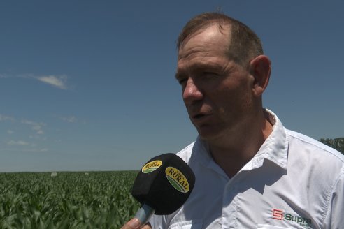 Reunión Regional Litoral de Distribuidores de SUPRA Semillas - Crespo, Entre Ríos