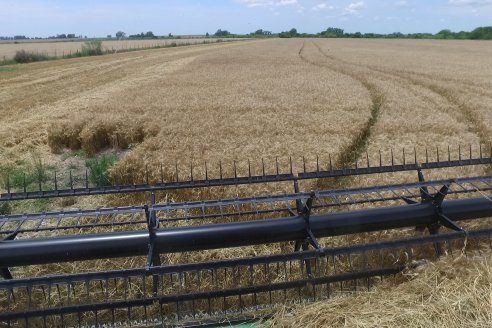 Visita a la Coop. Agric. Ganadera Aranguren Ltda.
