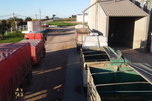 Visita a la Coop. Agric. Ganadera Aranguren Ltda.