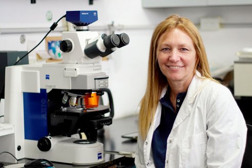 Científica desarrolló un método para que las plantas resistan olas de calor