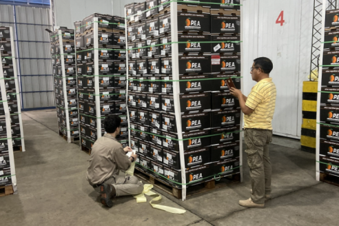 Ecuador compró poco más de 23 toneladas de naranjas entrerrianas