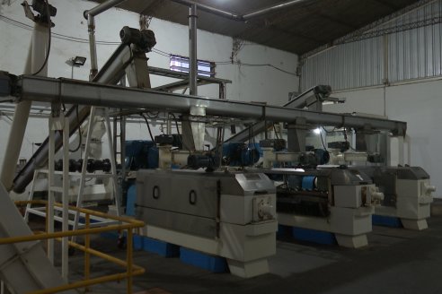 Planta Solar en Sauce Pinto - Energia Renovable Complementaria a la Red Urbana