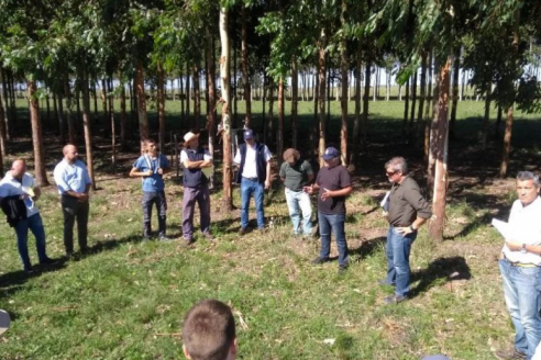 Tour Productivo de AEPA al campo El Alambrado
