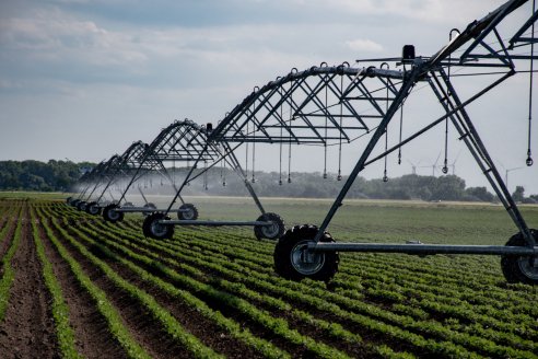 Fuerte inversión en sistemas de riego