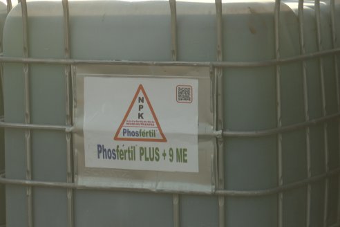 Mano a Mano: Orlando 