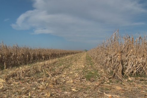 Mano a Mano: Orlando 