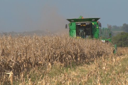 Mano a Mano: Orlando 