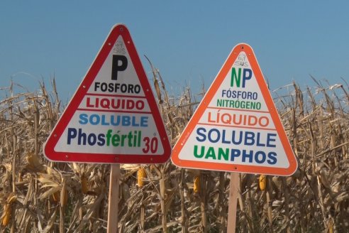 Mano a Mano: Orlando 