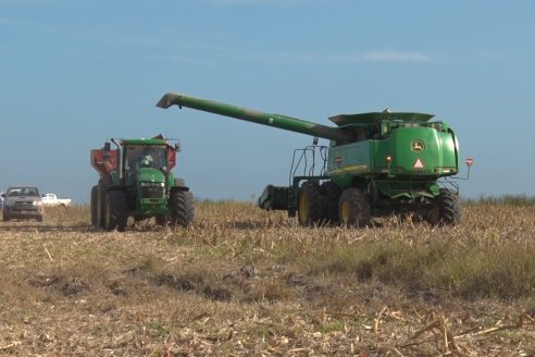 Mano a Mano: Orlando 