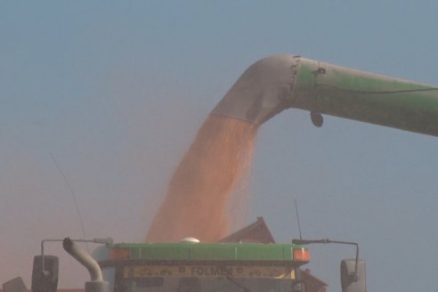 Mano a Mano: Orlando 