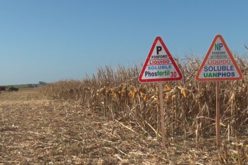 Mano a Mano: Orlando 