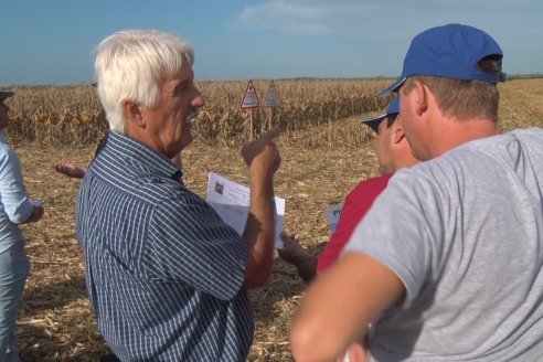 Mano a Mano: Orlando 