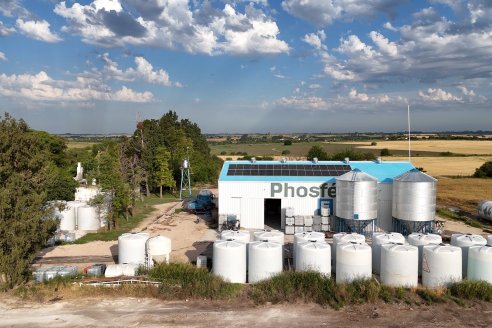 Mano a Mano: Orlando 