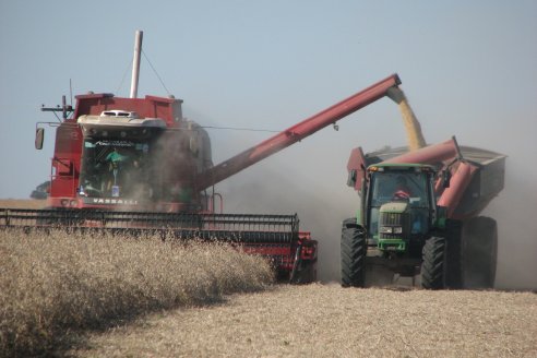 Mano a Mano: Orlando 