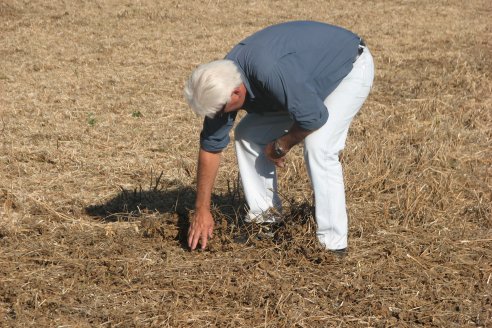 Mano a Mano: Orlando 
