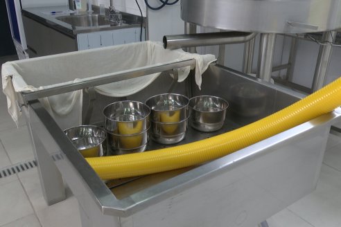 8° Curso de Realización de Quesos en el Centro de Capacitación Agrolac Paraná