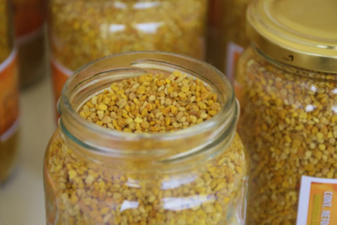 La producción de polen como estrategia de diversificación apícola