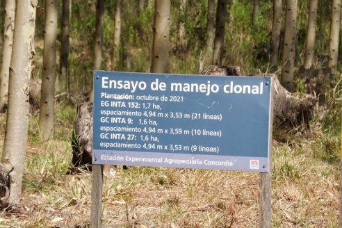 Tour Productivo de la Asociacion Entrerriana de Periodistas Agropecuarios(AEPA) al Campo Experimental El Alambrado, Inta Concordia