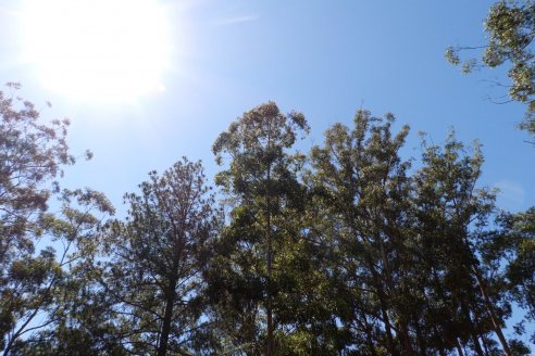 Tour Productivo de la Asociacion Entrerriana de Periodistas Agropecuarios(AEPA) al Campo Experimental El Alambrado, Inta Concordia