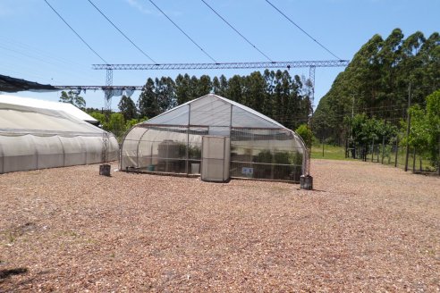 Tour Productivo de la Asociacion Entrerriana de Periodistas Agropecuarios(AEPA) al Campo Experimental El Alambrado, Inta Concordia